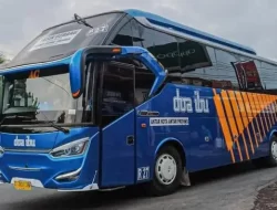 9 PO Bus dengan Nama Unik, Mulai Rela hingga Doa Ibu