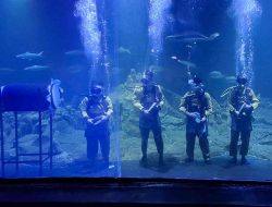 Aquarium Indonesia Pangandaran Siapkan Beragam Hiburan untuk Libur Lebaran 2025