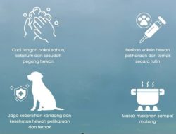 RSUD Pandega Pangandaran Imbau Warga Waspadai Penyakit Zoonosis, Tetap Jaga Kebersihan dan Kesehatan Hewan Peliharaan