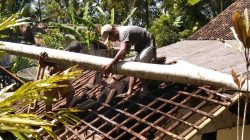 Angin Kencang di Sidamulih Pangandaran, Rumah Warga Kalijati Rusak Berat Tertimpa Pohon