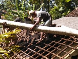 Angin Kencang di Sidamulih Pangandaran, Rumah Warga Kalijati Rusak Berat Tertimpa Pohon